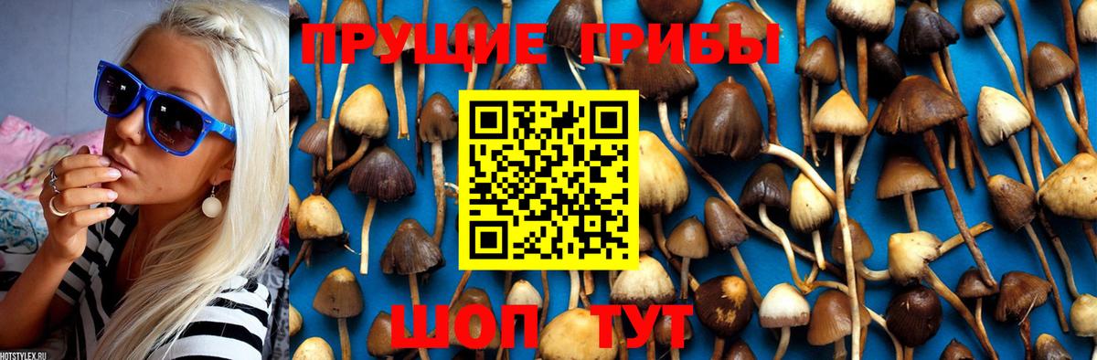 Морозовск  Псилоцибиновые грибы Magic Shrooms  Вход с VPN 